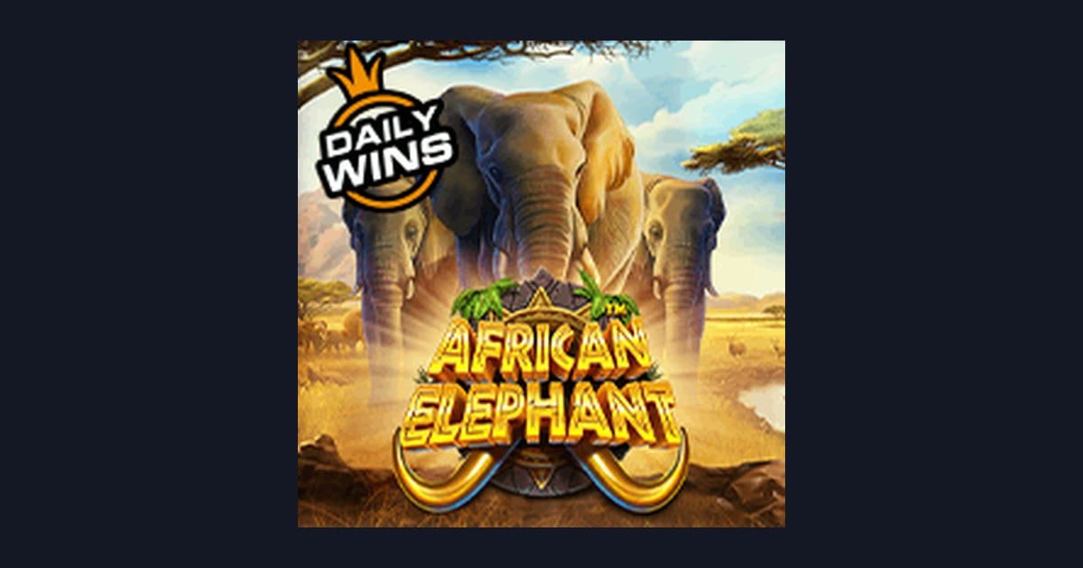 African Elephant: Petualangan Slot Modal Receh yang Bawa Cuan Besar